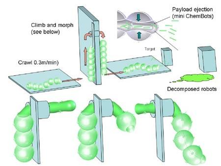 美开发化学机器人能缩身变形自动降解(图)