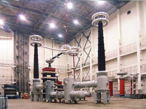 2008年4月，国内首台特高压开关设备在西电集团成功通过全部容量试验