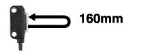 ɢ