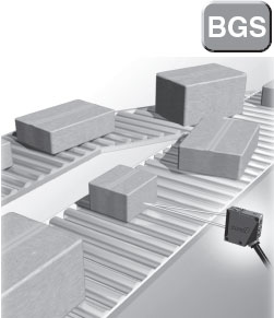 BGSʺ
