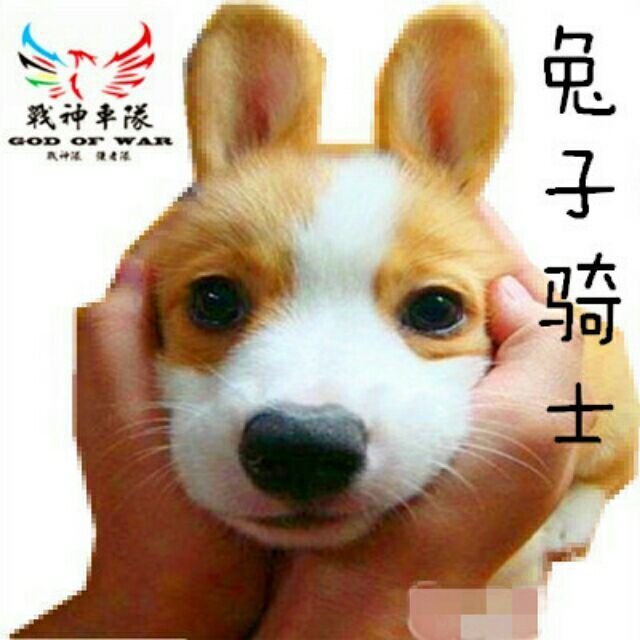 头像